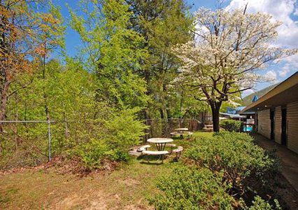 Rodeway Inn Skyland Gatlinburg Facilități foto